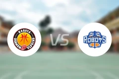 名古屋钻石海豚vs茨城机器人比分预测【2025/12/13】