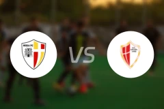 尼萨FCvs萨沃亚比分预测【2025/10/19】