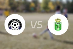 艾维勒vs卡拉明比分预测【2025/11/16】