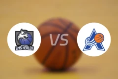 海莱乌女篮vs阿玛格女篮比分预测【2025/12/06】