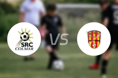 高马vs布洛伊斯比分预测【2026/02/08】