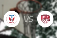 艾格纳天使女篮vs赫利女篮比分预测【2026/02/08】