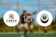 沙田vs公民比分预测【2025/11/16】