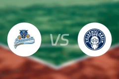 霍穆托夫猎豹vs迪辛瓦列奇尼比分预测【2025/11/22】