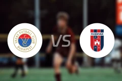 华萨斯vs维迪奥顿比分预测【2025/11/04】