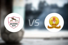 夸恩vs班布里比分预测【2026/03/14】