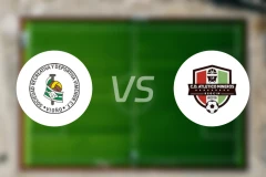 维米诺vs米内罗竞技队比分预测【2024/10/28】