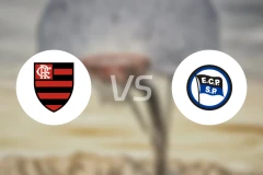 弗拉门戈vs皮涅鲁斯比分预测【2026/03/20】