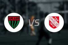 施韦因富特vs哈韦尔斯比分预测【2025/12/15】