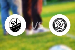 桑德豪森U19vs艾华斯堡U19比分预测【2026/02/14】