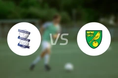 伯明翰vs诺维奇比分预测【2025/11/22】