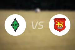 沃尔斯费德vs舒宁根比分预测【2024/10/13】