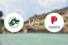 阿维利诺vs皮斯托亚比分预测【2026/01/12】