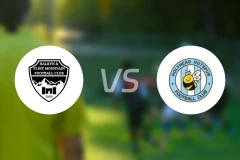 弗林特山vs荷利赫德比分预测【2026/04/03】