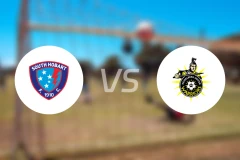 南霍巴特vs黑德堡比分预测【2025/11/16】