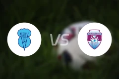 维维罗vs蒙坦尔斯比分预测【2025/11/16】