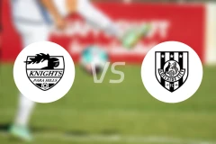 帕拉山骑士vs阿德莱德城比分预测【2026/04/11】