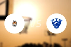 哥伦比亚（南卡罗来纳州）vs佐治亚州立比分预测【2025/12/29】