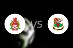 布里顿费里vs兰内里比分预测【2026/01/24】