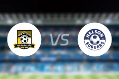 瓦纳卡AFCvs纳尔逊郊区比分预测【2026/03/28】