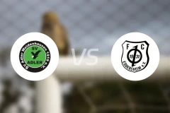 SV登豪斯vsFC埃德斯海姆比分预测【2025/11/29】