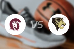 阿肯色岩城vs林登伍德比分预测【2026/01/11】