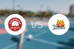 帕德博恩vs哈根比分预测【2026/02/07】