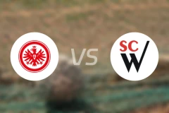 法兰克福青年队vs沃尔瓦尔德比分预测【2026/03/07】