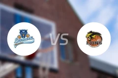 霍穆托夫猎豹vs英吉夫赫拉德茨比分预测【2026/03/14】