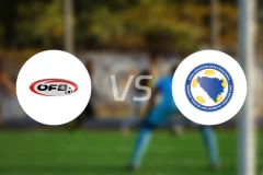 奥地利vs波黑比分预测【2025/11/19】