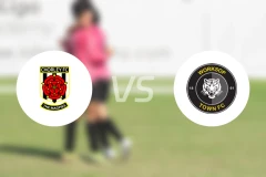 切奥尔雷vs沃克索谱镇比分预测【2025/11/15】