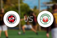 梅明根vsVfB艾斯特比分预测【2025/11/15】