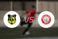 路西塔尼亚vs莱里亚比分结果战报【2025/11/10】