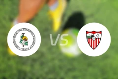 维米诺vs塞莱阿比分预测【2026/03/02】