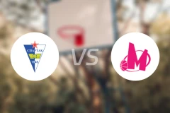 苏博斯巴达女篮vs梅加女篮比分预测【2026/02/14】