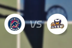 香港金牛vs山东蜜獾录像回放【2026/03/07】