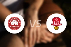 帕德博恩vs拜尔勒沃库森巨人比分预测【2026/03/15】