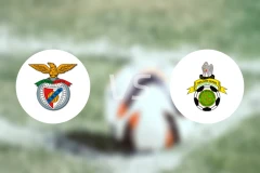 本菲卡卡斯特罗vs萨莫拉科雷亚比分预测【2026/04/12】