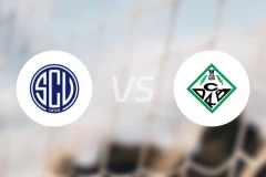 凡恩尼斯vs里贝拉比分预测【2025/11/30】