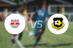 布拉干蒂诺RBvs圣贝尔纳多比分预测【2026/02/02】