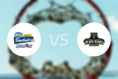 麦诺尼亚热点vs澳门黑熊比分预测【2026/03/28】