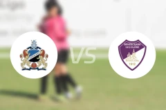 斯泽格迪vs贝斯萨巴比分预测【2024/10/20】