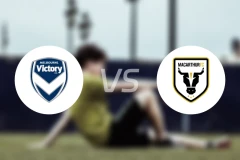 墨尔本胜利vs麦克阿瑟FC比分预测【2026/03/15】
