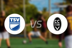 TSV埃辛根vs威灵根比分预测【2025/11/29】