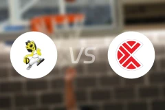 杜布拉瓦vs萨格勒布希伯纳比分预测【2026/03/15】