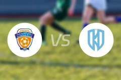 费哈vs阿科多比分结果战报【2025/11/07】