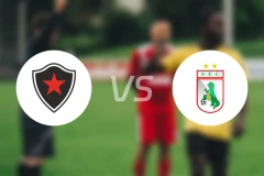 博塔弗戈PBvs索萨PB比分预测【2026/01/25】