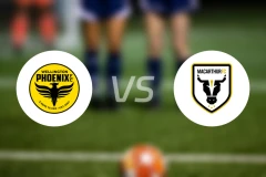 惠灵顿凤凰vs麦克阿瑟FC比分预测【2025/11/22】