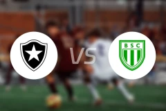 博塔弗戈vs博维斯塔FC比分预测【2026/03/01】