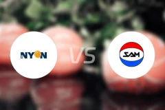 尼奈斯vs马萨尼奥比分预测【2025/11/02】